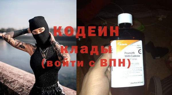 ПСИЛОЦИБИНОВЫЕ ГРИБЫ Верея