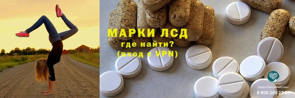 ПСИЛОЦИБИНОВЫЕ ГРИБЫ Верея