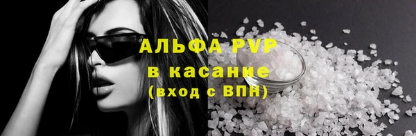 ПСИЛОЦИБИНОВЫЕ ГРИБЫ Верея
