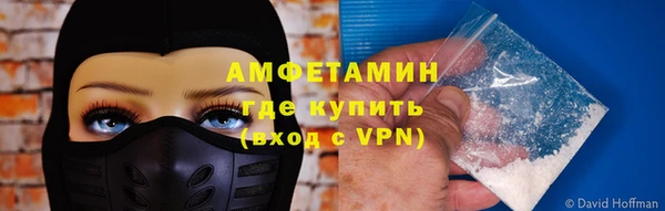 ПСИЛОЦИБИНОВЫЕ ГРИБЫ Верея