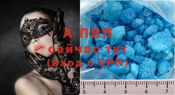 ПСИЛОЦИБИНОВЫЕ ГРИБЫ Верея