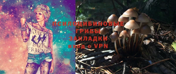 ПСИЛОЦИБИНОВЫЕ ГРИБЫ Верея