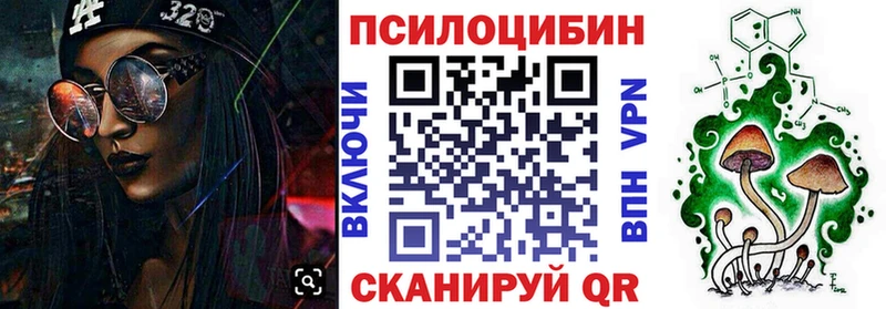 Галлюциногенные грибы Psilocybe  Купить где  Бобров 